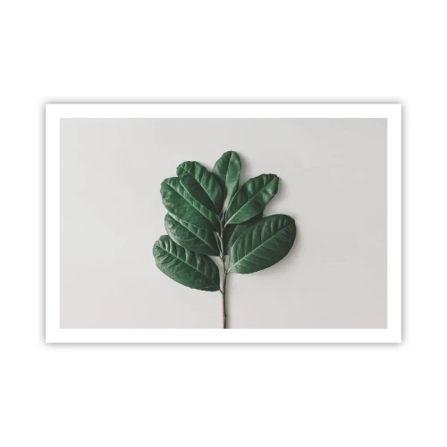 Plagát - Kresba samotnej prírody - 91x61 cm