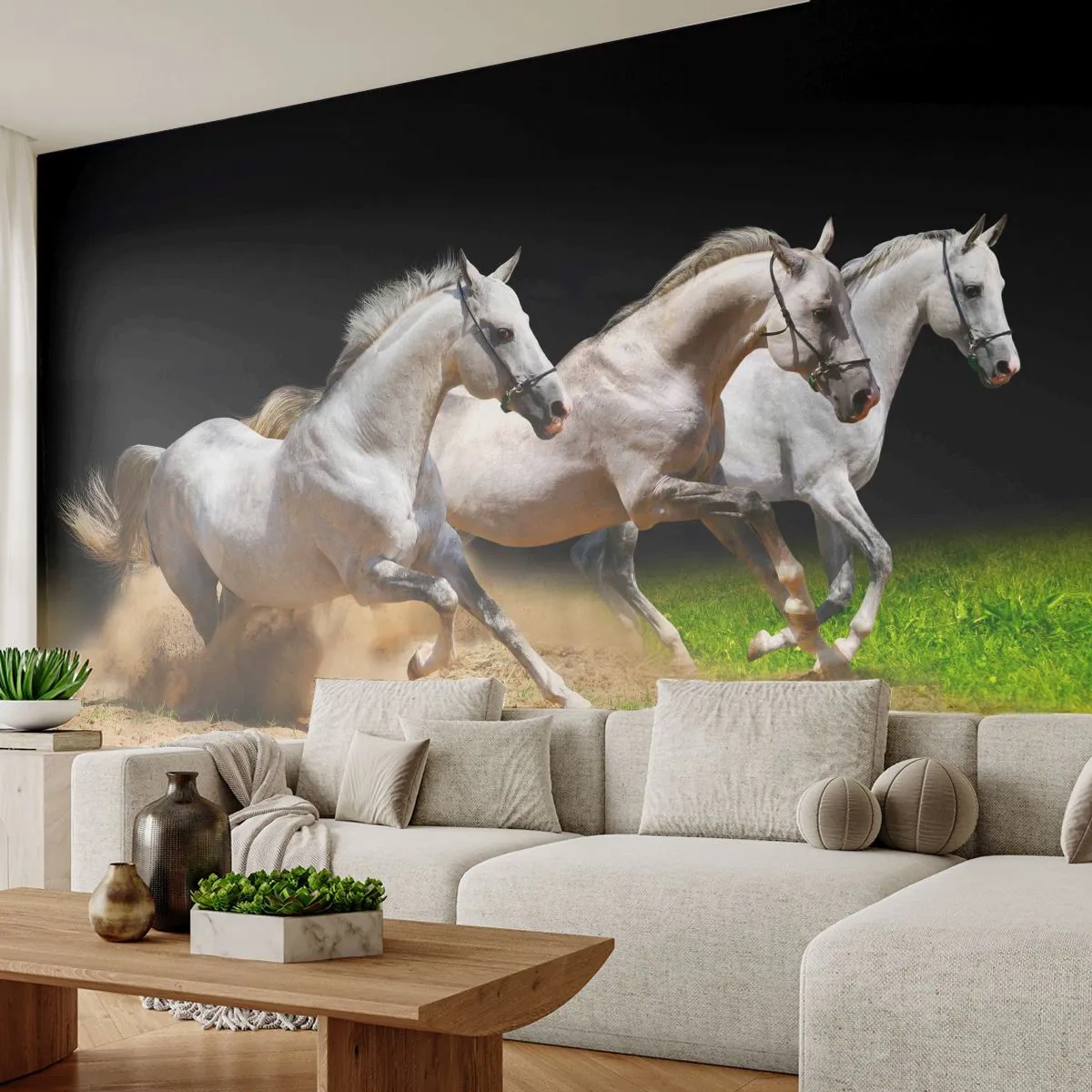 Fototapeta Premium Sand - Tri Grácie - Kone, Zvieratá, Cval - 400x280 cm