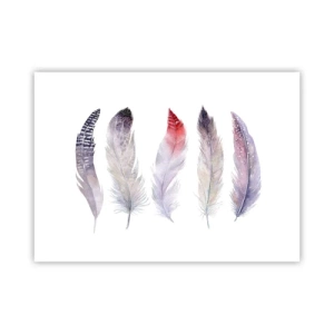 Plagát - Jemné ako rôznofarebná hmla - 70x50 cm