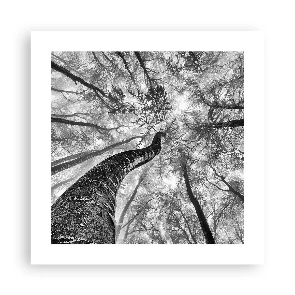 Plagát - Závod ku svetlu - 40x40 cm