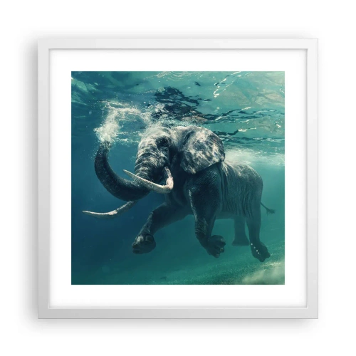 Plagát v bielom ráme - Všetci radi plávajú - 40x40 cm