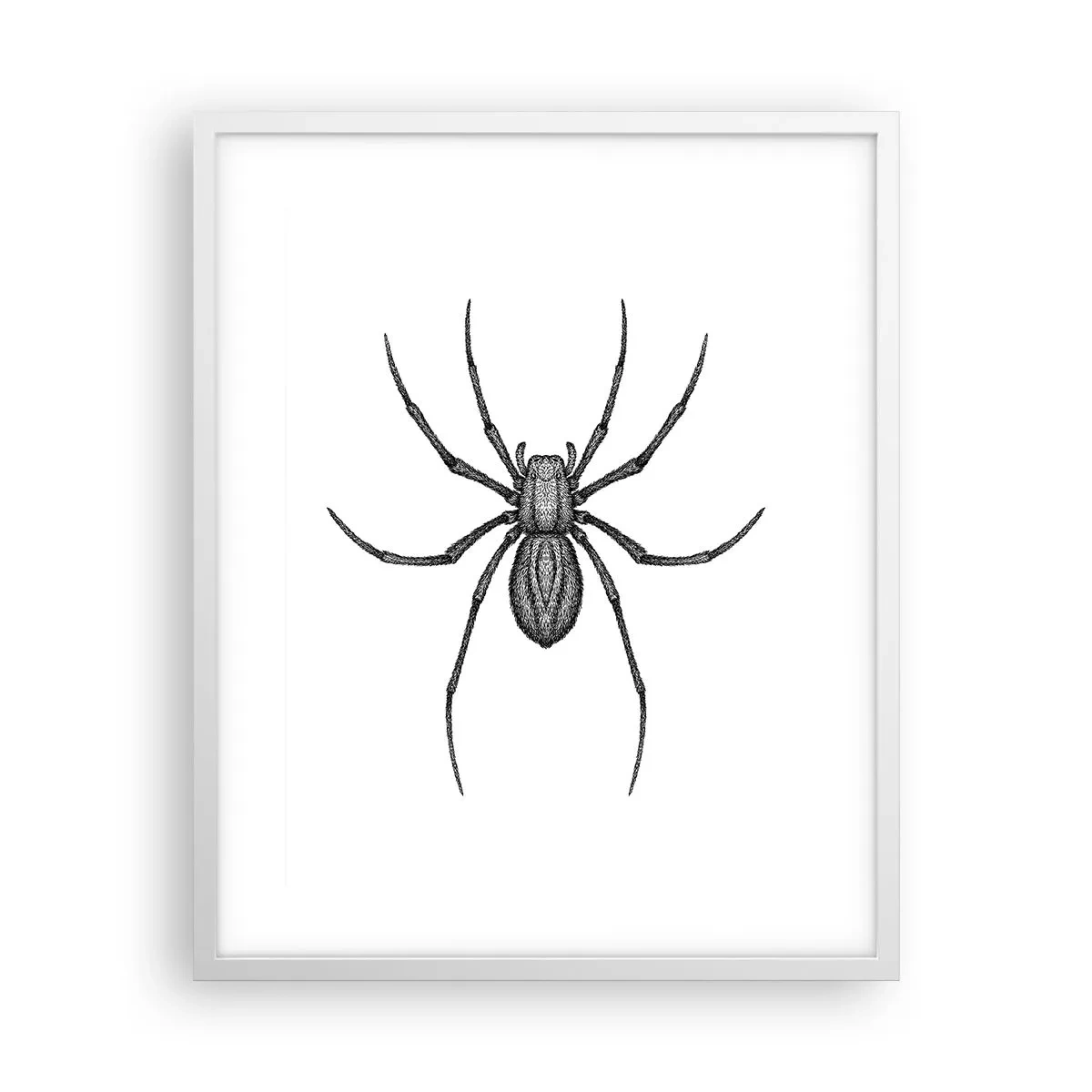 Plagát v bielom ráme - Znepokojivá presnosť - 40x50 cm