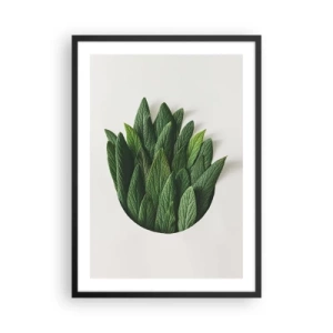 Plagát v čiernom ráme - Listy v umeleckej kompozícii na bielom pozadí - 50x70cm - Neukojiteľná zvedavosť - Moderná nástenná dekorácia do obývacej izby a spálne ARTTOR