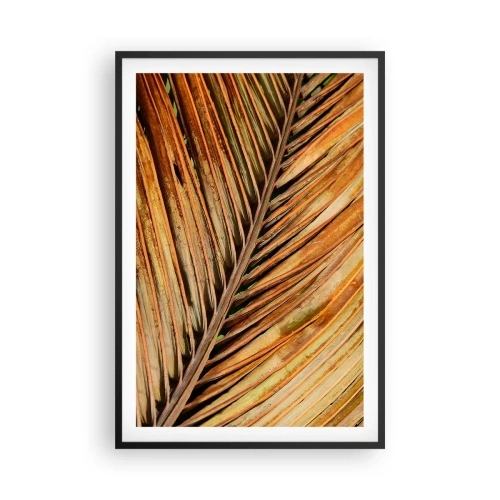 Plagát v čiernom ráme - Kokosové zlato - 61x91 cm