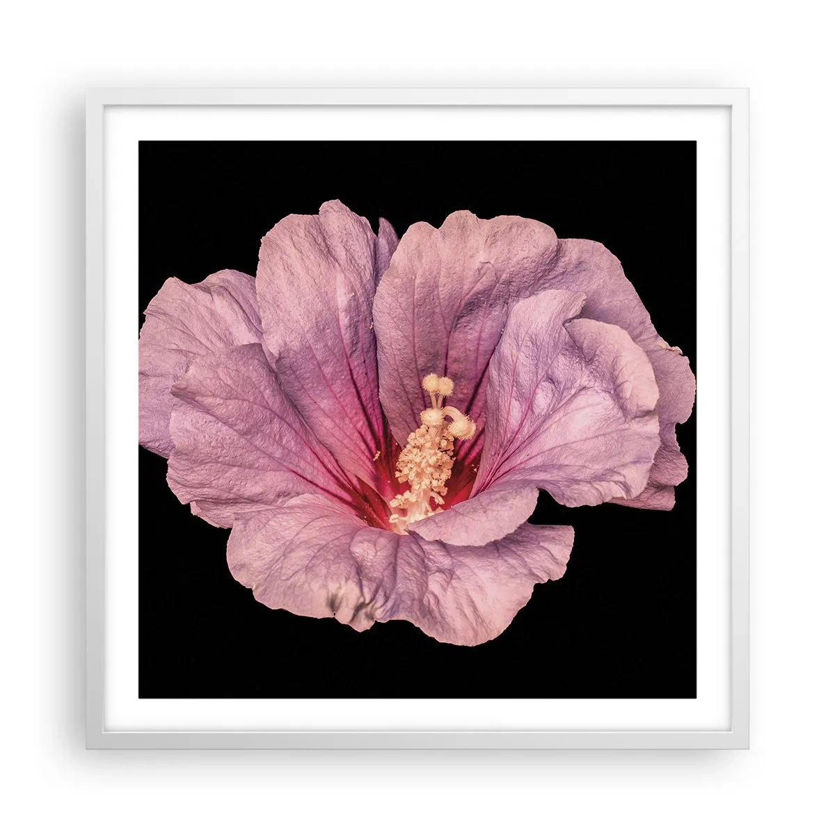 Plagát v bielom ráme - Priamo do srdca - 60x60 cm