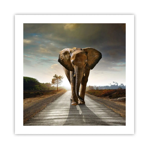 Plagát - A vôbec nie v sklade porcelánu - 50x50 cm