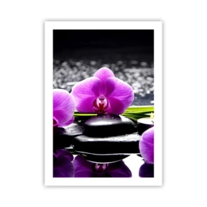 Plagát - Utopiť v tichu a pokoji - 50x70 cm