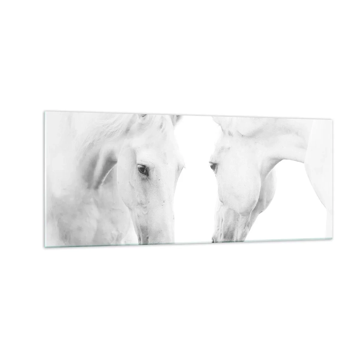 Obraz na skle - Je to priateľstvo…? - 100x40 cm