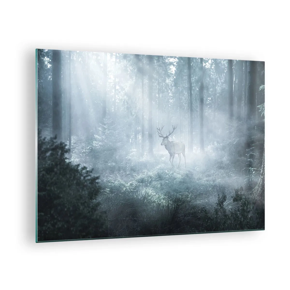 Obraz na skle - Jeleň v hmlistom lese osvetlenom lúčmi ranného slnka - 70x50cm - Ranná obchôdzka sídliska - Moderná nástenná dekorácia do obývacej izby a spálne ARTTOR