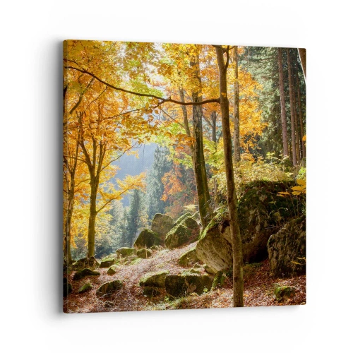 Obraz na plátne - Čas na odpočinok - 40x40 cm