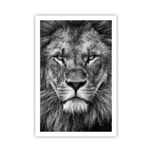 Plagát - V korunovačnom odeve - 61x91 cm