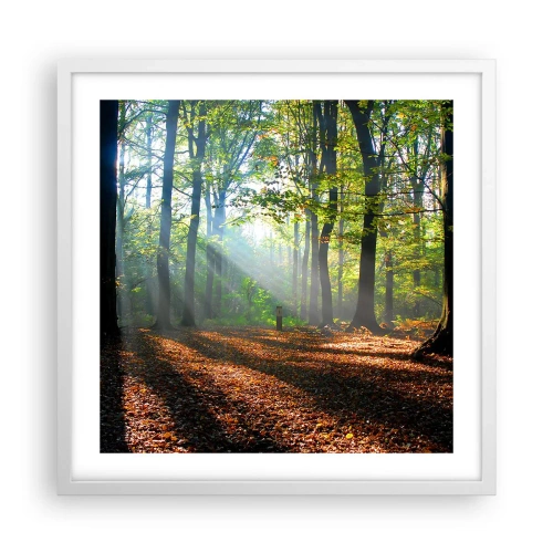 Plagát v bielom ráme - Svetlá a tiene - 50x50 cm