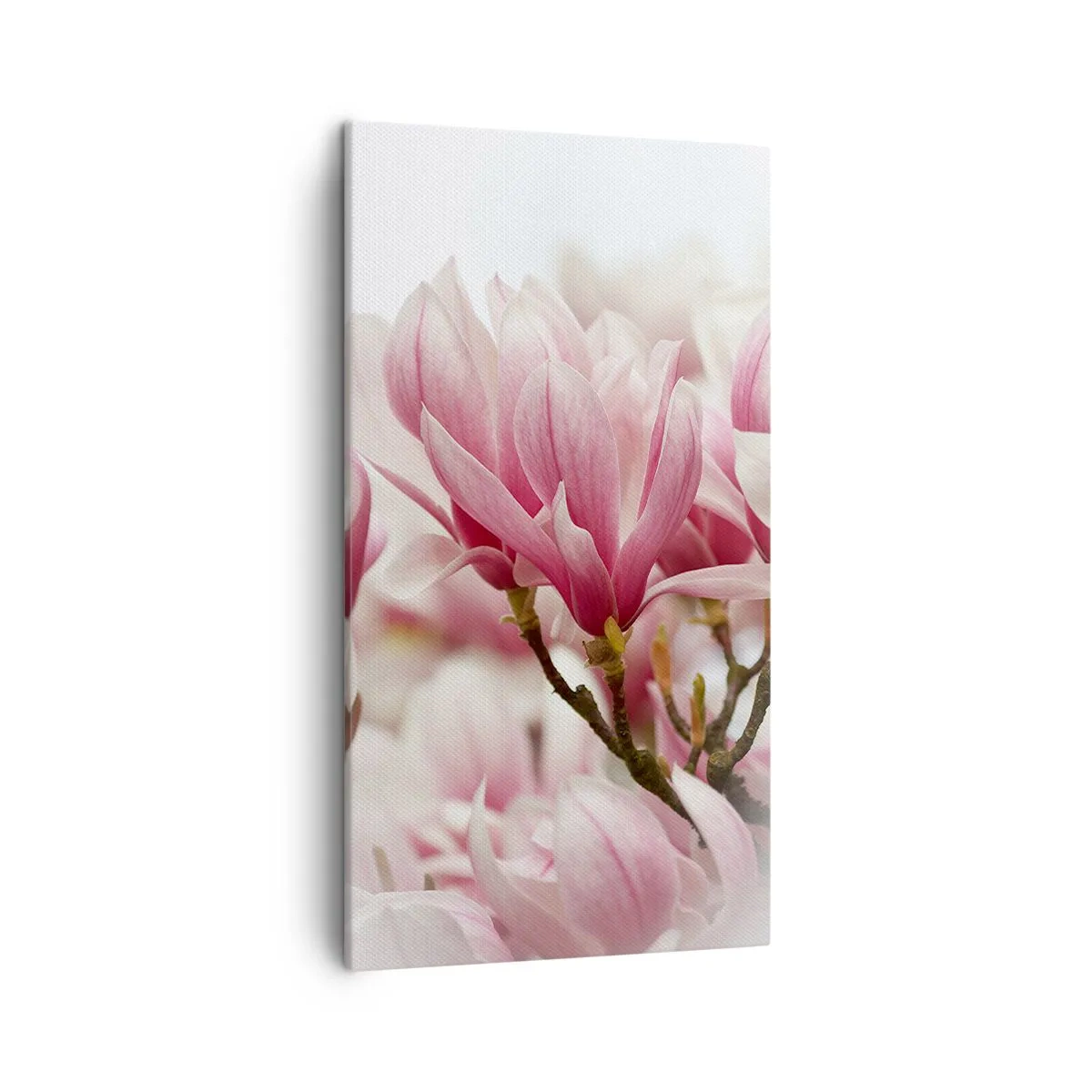 Obraz na plátne - Jarné kvety - 45x80 cm