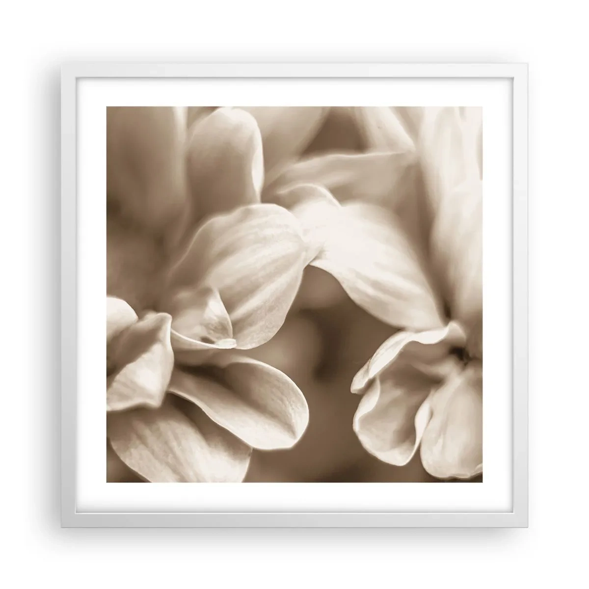 Plagát v bielom ráme - Nežné ako úsmev - 50x50 cm