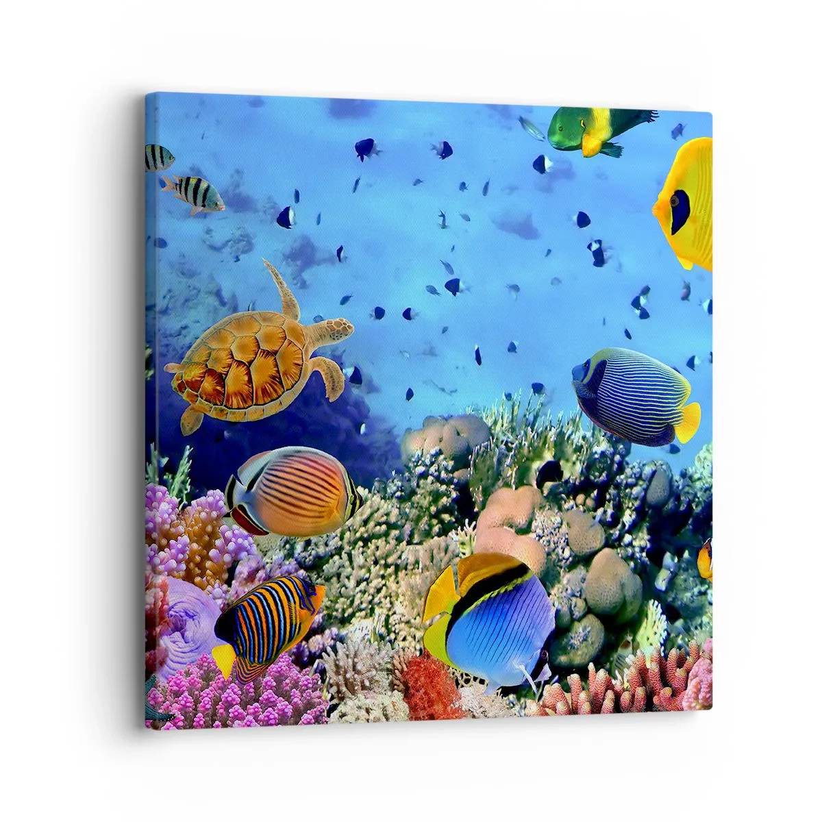 Obraz na plátne - Čo vieme o živote… - 30x30 cm