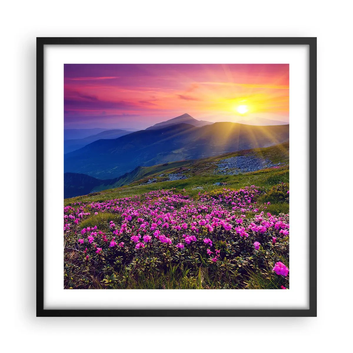 Plagát v čiernom ráme - …A okolo vonia kosodrevina a voňajú byliny - 50x50 cm