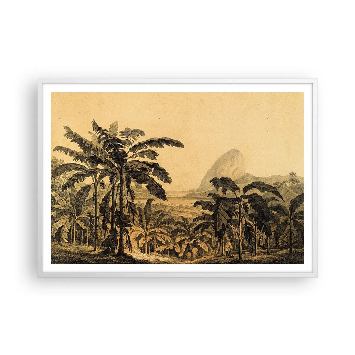 Plagát v bielom ráme - V koloniálnom štýle - 100x70 cm