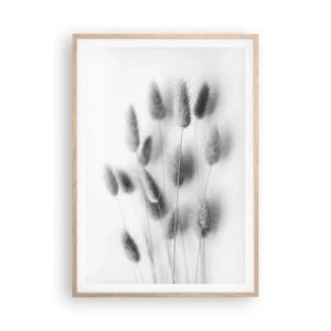 Plagát v ráme zo svetlého duba - Našuchorená tráva - 70x100 cm
