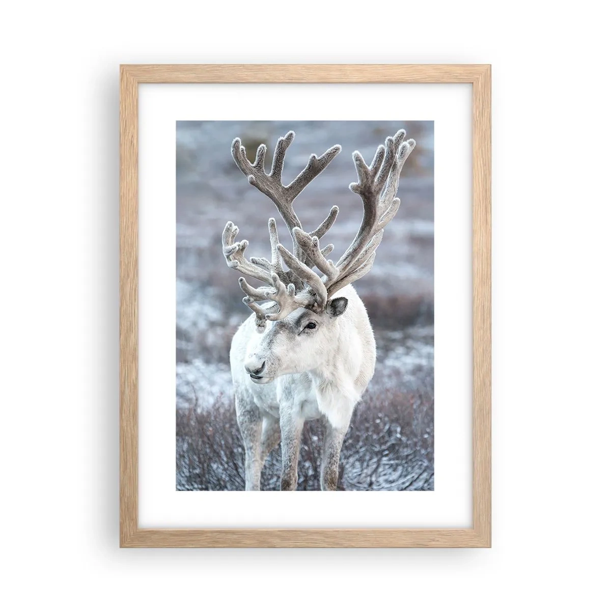 Plagát v ráme zo svetlého duba - Slnečný portrét - 30x40 cm