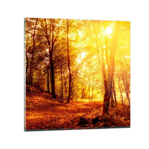 Obraz na skle - K zlatej čistinke - 70x70 cm