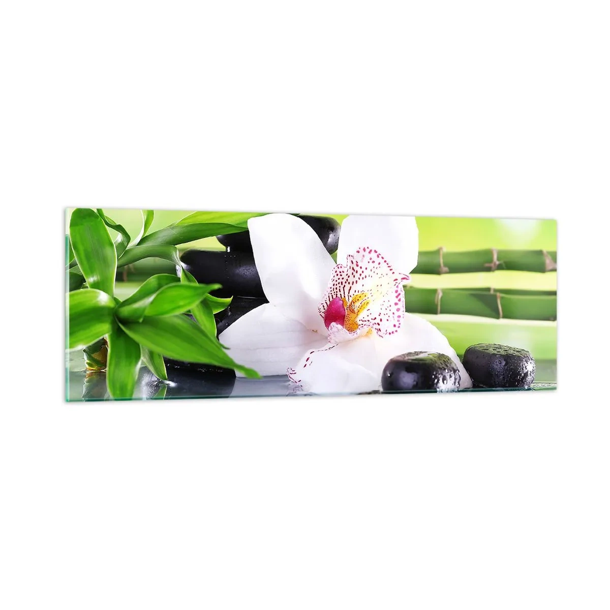 Obraz na skle - Chladná sviežosť - 90x30 cm