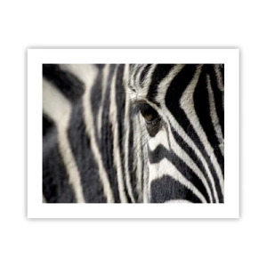 Plagát - Portrét s pruhmi - 50x40 cm