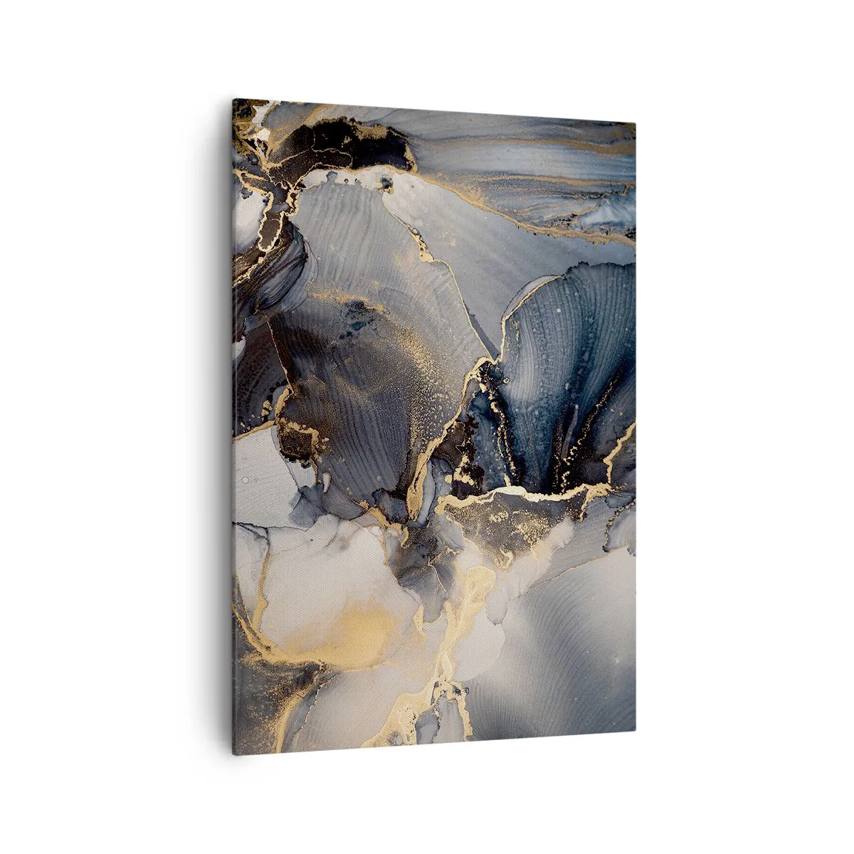 Obraz na plátne - Život kameňa - 70x100 cm