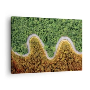 Obraz na plátne - Kľukatá cesta lesom z vtáčej perspektívy - 70x50cm - Hranice a prelomy - Moderná nástenná dekorácia do obývacej izby a spálne ARTTOR