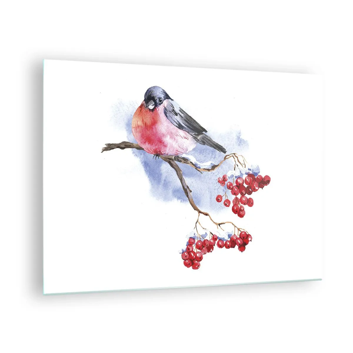 Obraz na skle - Vták na vetve jarabiny - 70x50cm - Farebná zima - Moderná nástenná dekorácia do obývacej izby a spálne ARTTOR