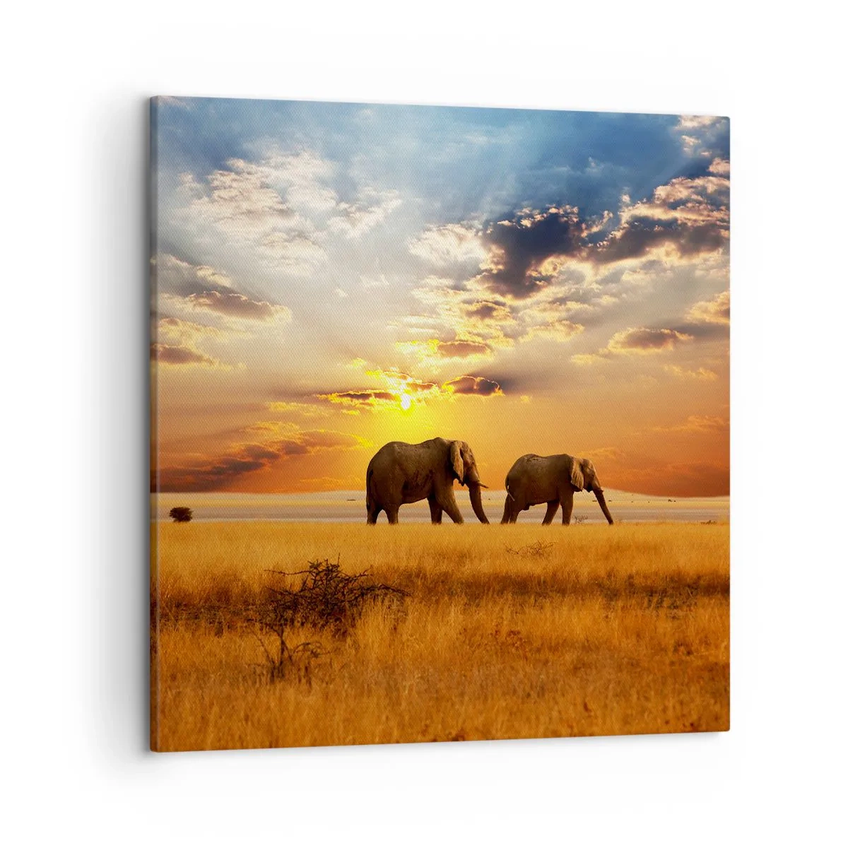 Obraz na plátne - Rodinná prechádzka - 50x50 cm