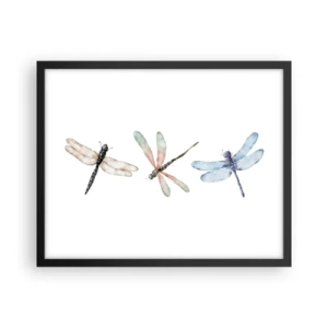 Plagát v čiernom ráme - Beztiažové vážky - 50x40 cm