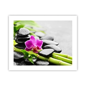 Plagát - V pokojnej rovnováhe - 50x40 cm