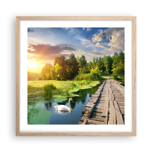 Plagát v ráme zo svetlého duba - Leto, leto všade - 50x50 cm