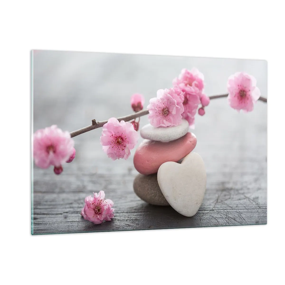 Obraz na skle - Blaženosť s višňovým kvetom - 120x80 cm