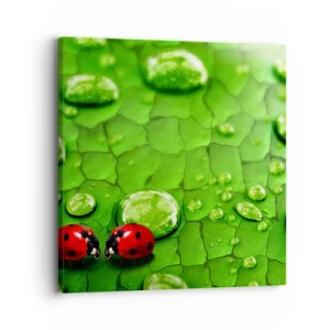 Obraz na plátne - Stretnutie v zeleni - 30x30 cm