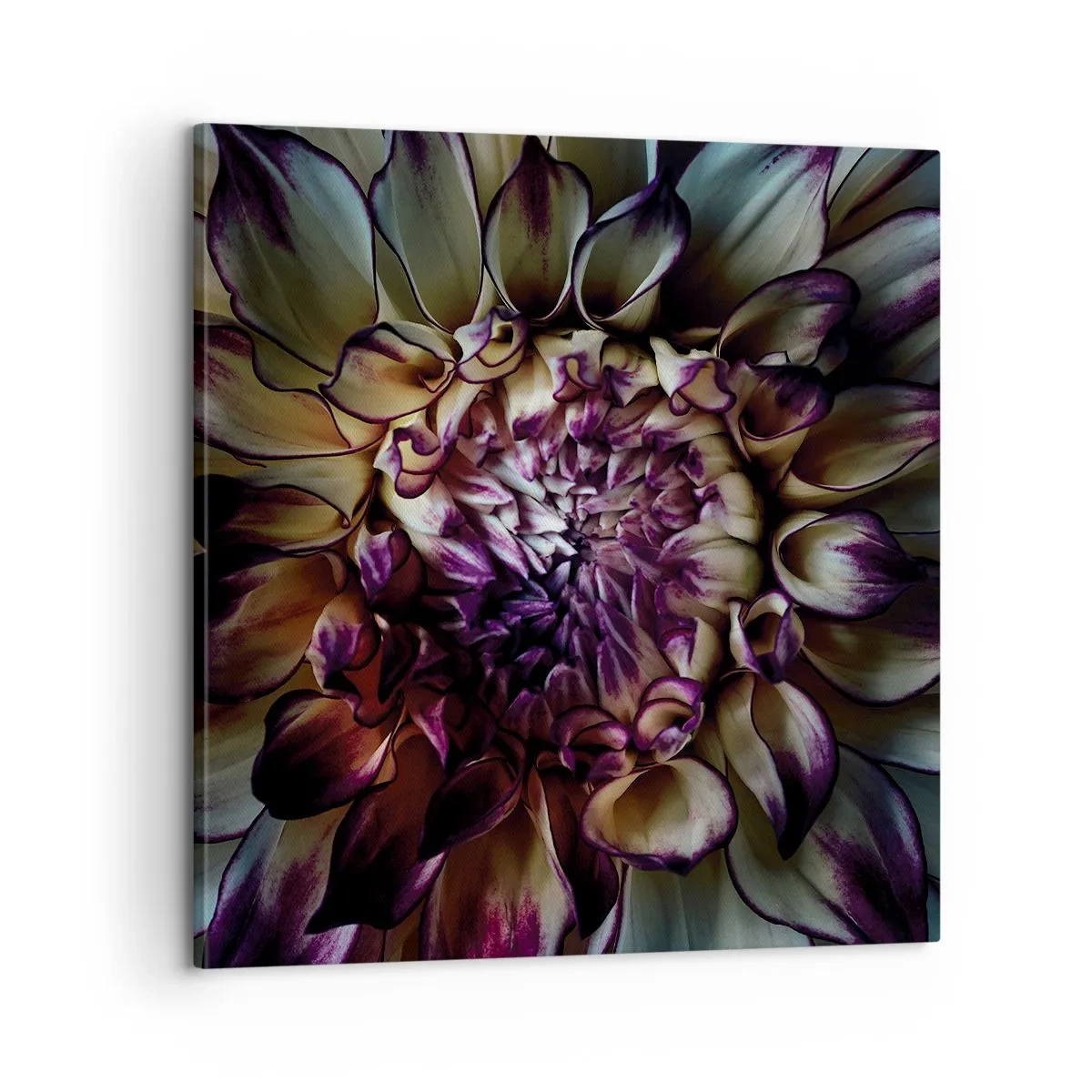 Obraz na plátne - Rozkvet mladosti - 60x60 cm