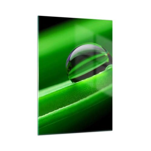 Obraz na skle - Život zblízka - 50x70 cm