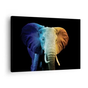 Obraz na plátne - Portrét slona v dúhových farbách - 70x50cm - Excentrický muž, avšak nie podivín - Moderná nástenná dekorácia do obývacej izby a spálne ARTTOR