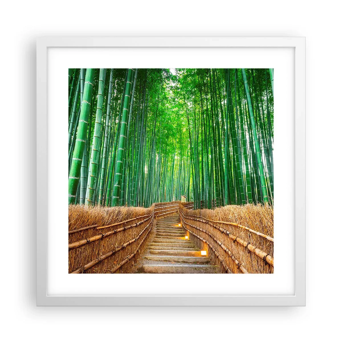 Plagát v bielom ráme - Esencia ázijskej prírody - 40x40 cm