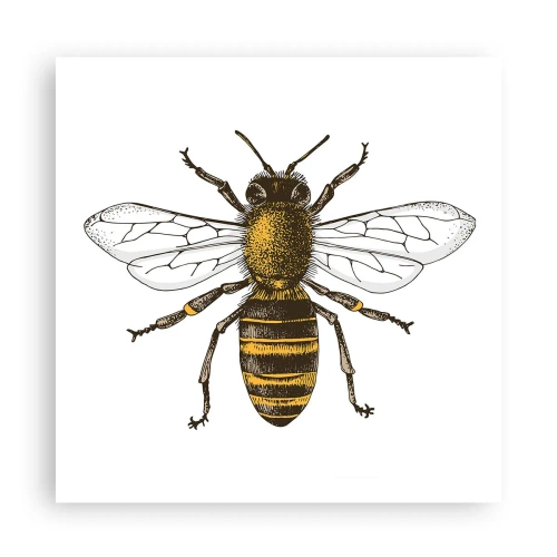 Plagát - Krásna a dobrá - 60x60 cm