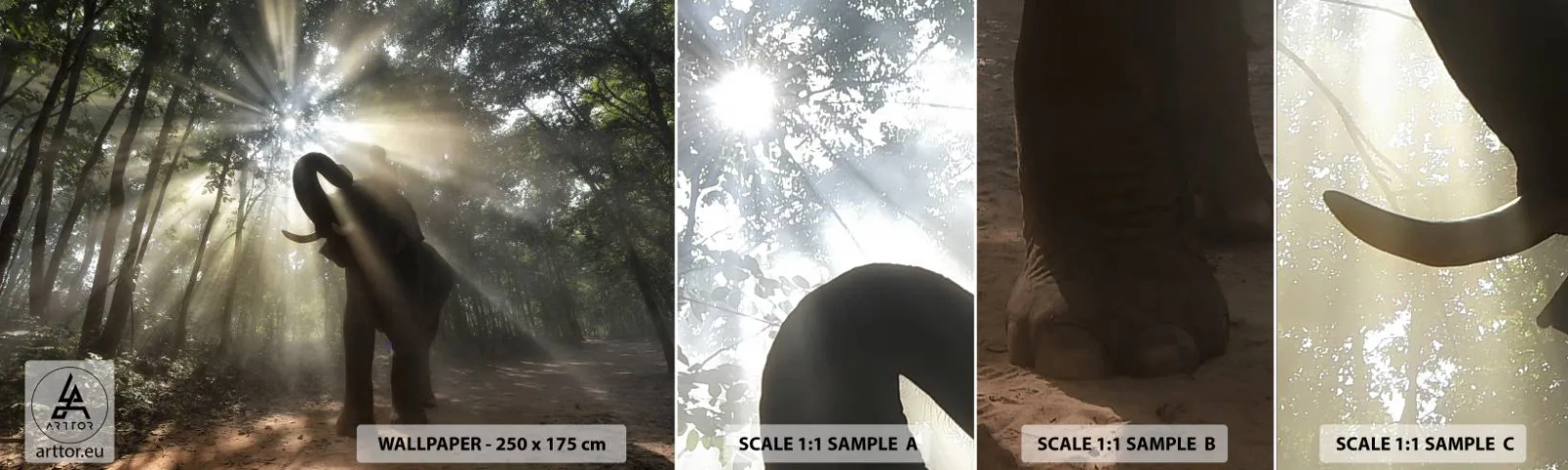 Vzorka samolepiacej fototapety Deluxe Sticker - Pod šťastnou hviezdou - Krajina, Slon, Džungle - 100x30 cm