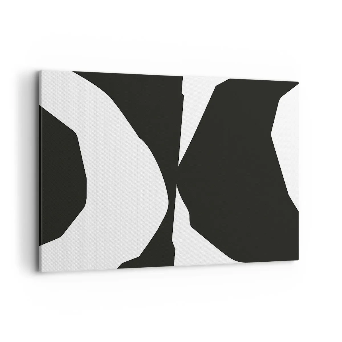 Obraz na plátne - Positive-negative - 120x80 cm