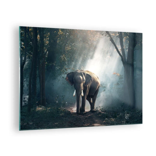 Obraz na skle - Slon kráčajúci lesom, za ktorým cez stromy prúdi slnečné svetlo. - 70x50cm - Pokojná prechádzka - Moderná nástenná dekorácia do obývacej izby a spálne ARTTOR