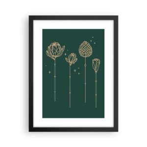 Plagát v čiernom ráme - Bylinky - 30x40 cm