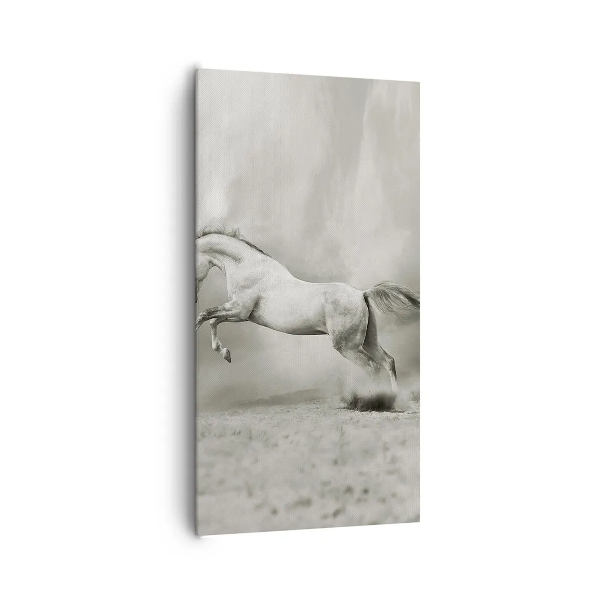 Obraz na plátne - Medzi bdením a snom - 65x120 cm