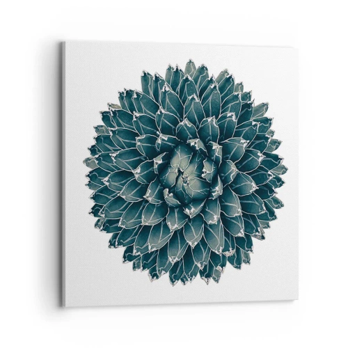 Obraz na plátne - Hviezda púšte - 70x70 cm