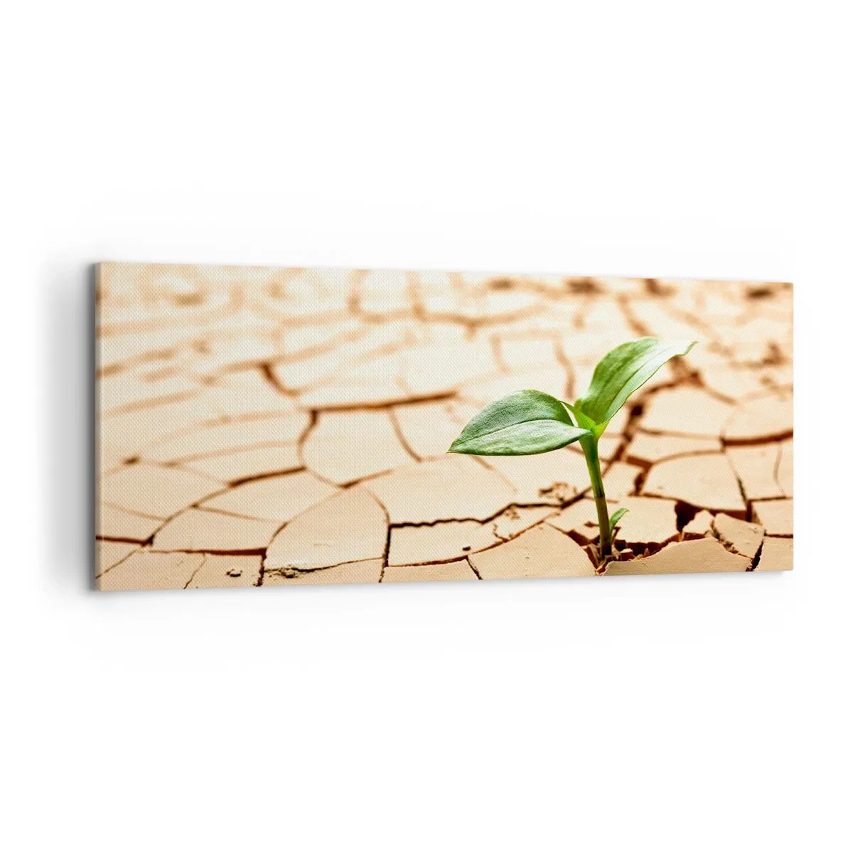 Obraz na plátne - Nespútaná sila života - 100x40 cm