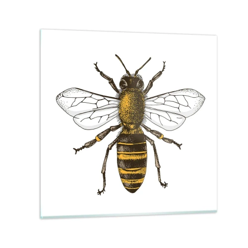 Obraz na skle - Krásna a dobrá - 50x50 cm