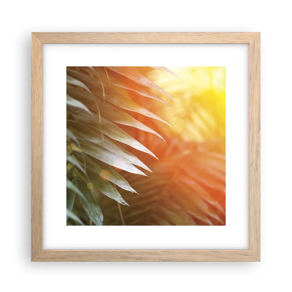 Plagát v ráme zo svetlého duba - Ráno v džungli - 30x30 cm