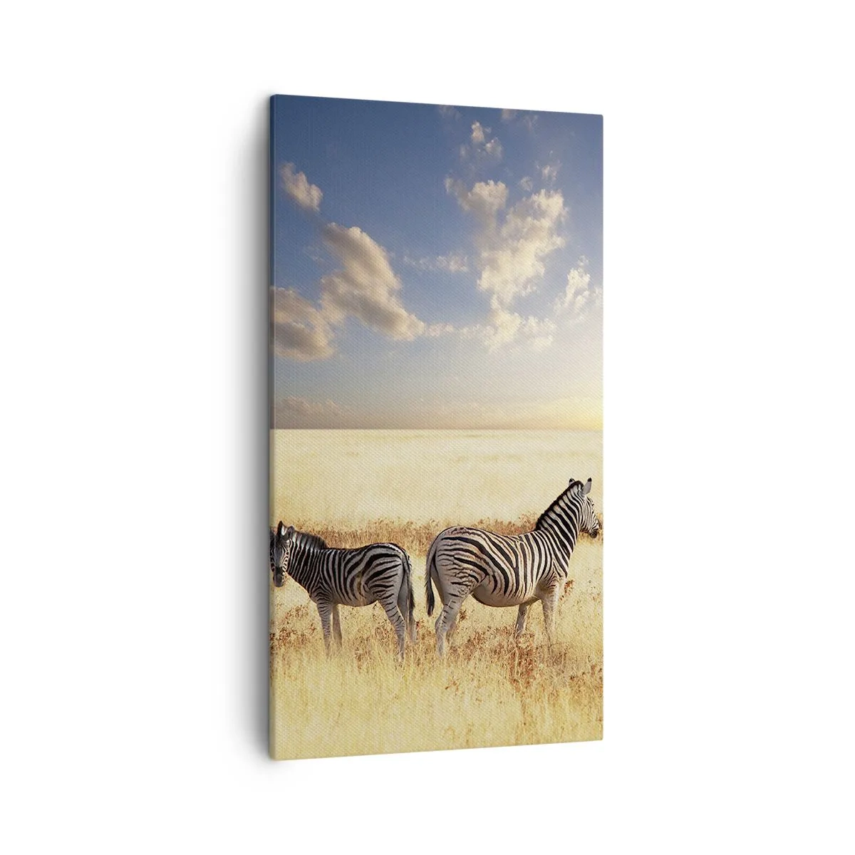 Obraz na plátne - Choď odtiaľto, neruš pokoj - 45x80 cm